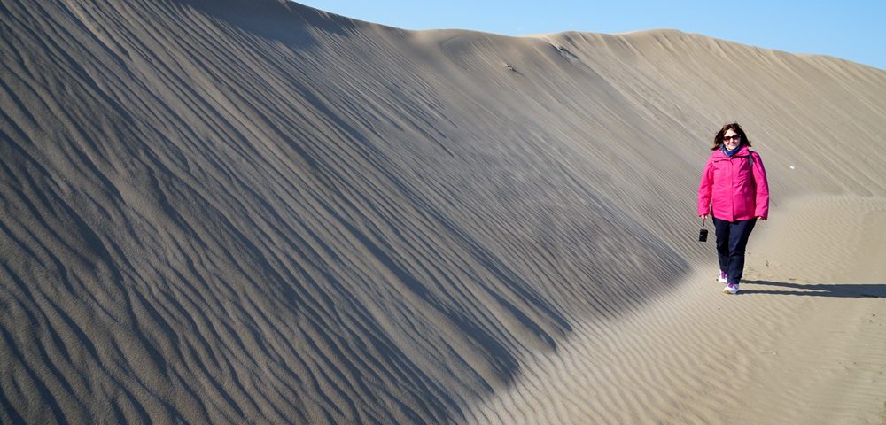 Punta del Fangar - Delta del Ebro