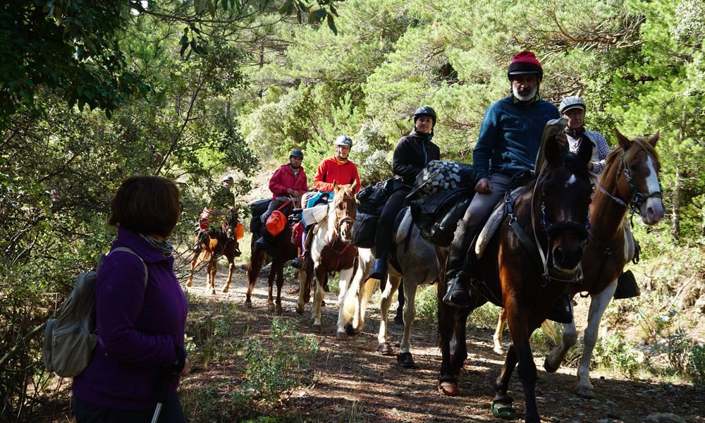 Parque Natural de la Tinença de Benifassá