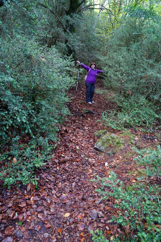 Parque Natural de la Tinença de Benifassá