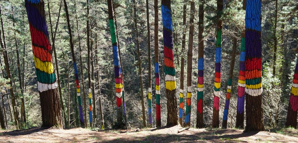 Bosque de Oma, arcoíris de Naiel