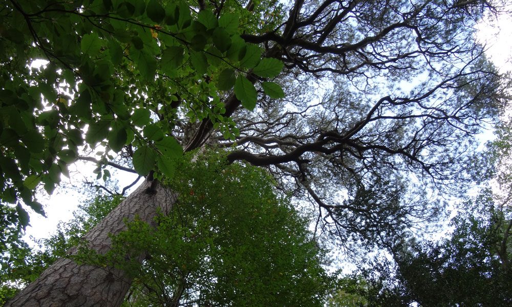 Parque Natural de la Tinença de Benifassá