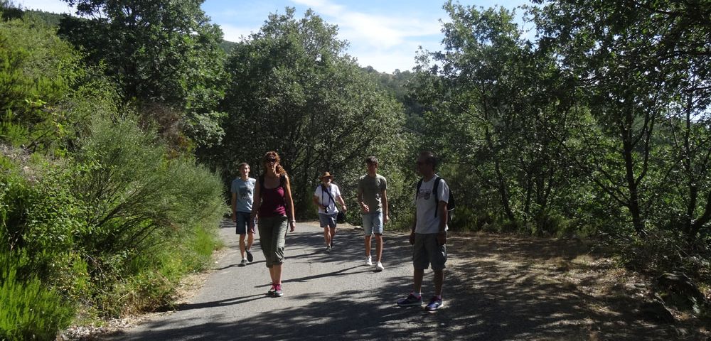 Sierra de Gredos