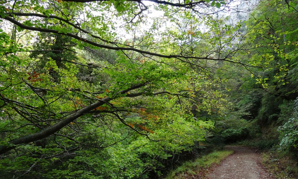 Parque Natural de la Tinença de Benifassá