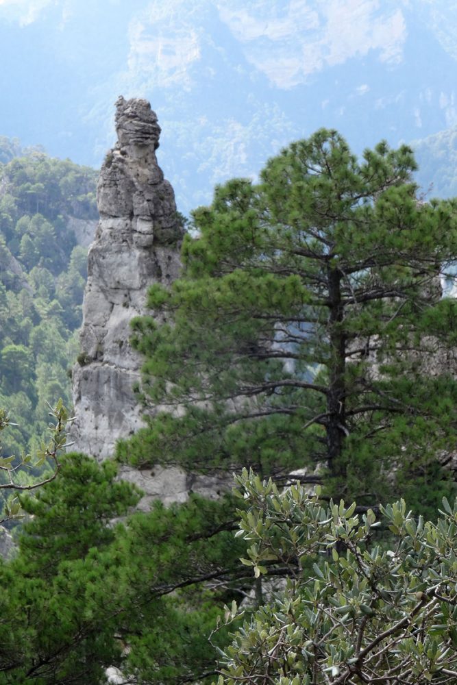 Parque Natural de la Tinença de Benifassá