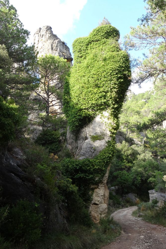 Parque Natural de la Tinença de Benifassá