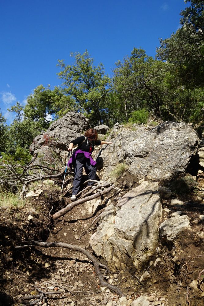 Parque Natural de la Tinença de Benifassá