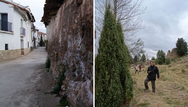 Calle en Valbona, enebros a lo largo del río Valbona
