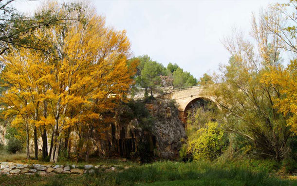 Excursión a La Puente Alta