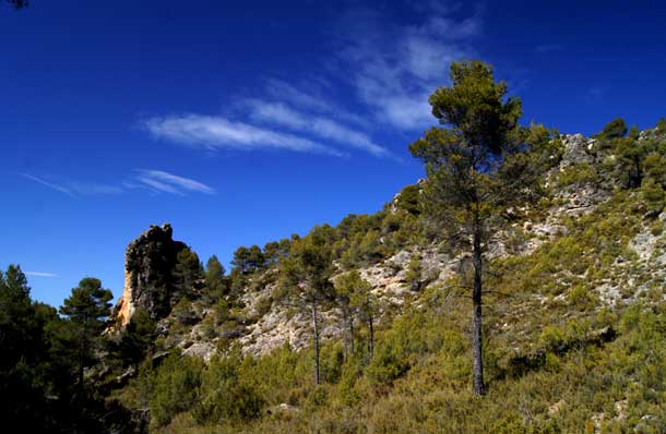 Sierra Mariola y el nacimiento del Vinalopó Sierra Mariola y el nacimiento del Vinalopó